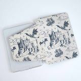Dragon Academy - Detachable Cover Clear Back Kindle Case